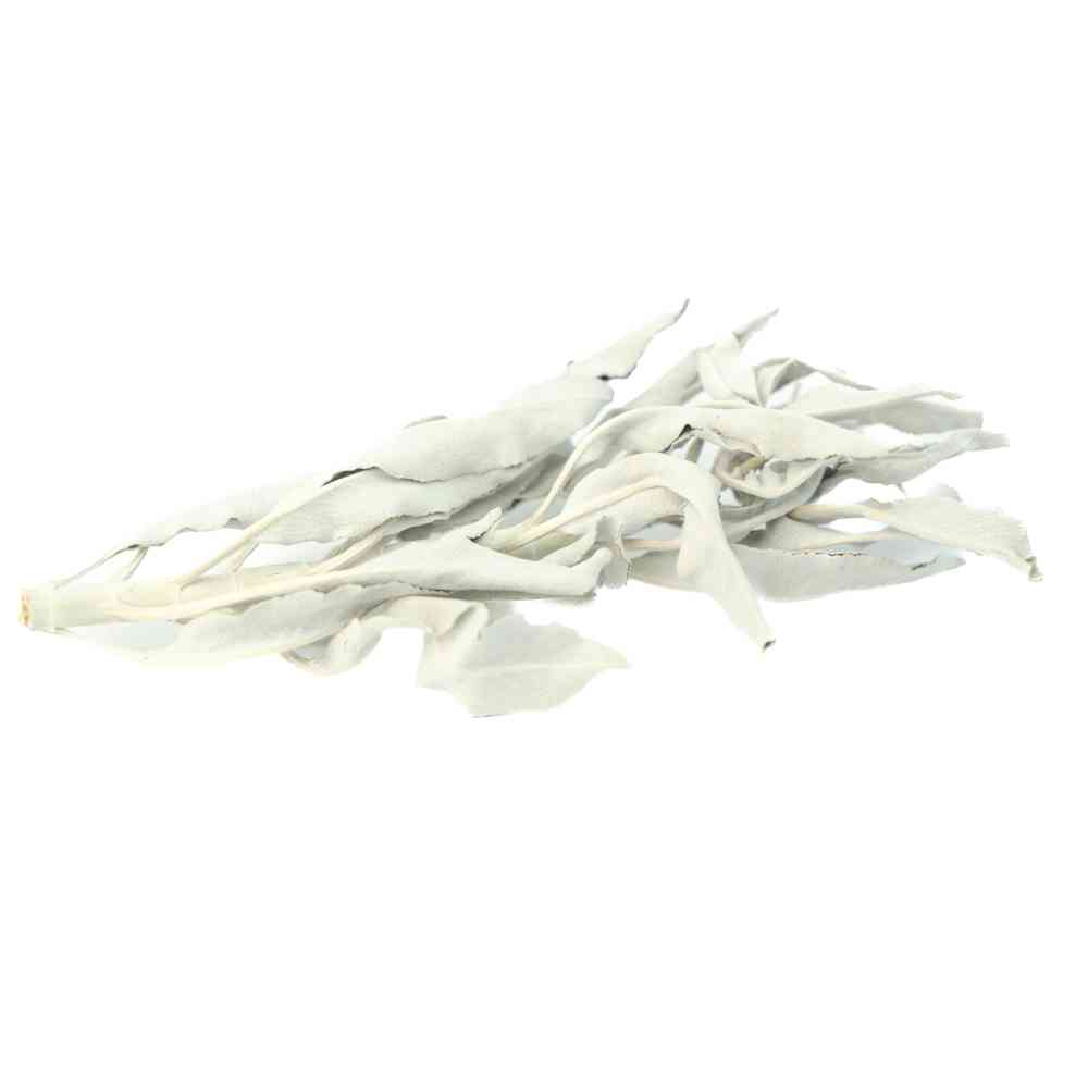 Premium White Sage Leaf Tips 1KG/2.2lb