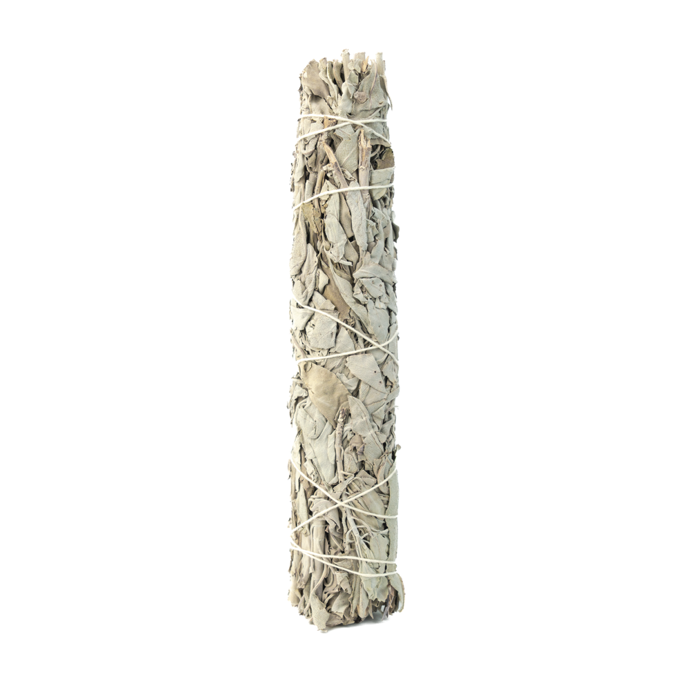 White Sage Smudge Sticks 9 Inch 100g/pieces